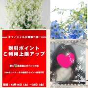 ヒメ日記 2024/12/20 10:09 投稿 ちはる(昭和41年生まれ) 熟年カップル名古屋～生電話からの営み～