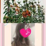 ヒメ日記 2024/12/27 10:27 投稿 ちはる(昭和41年生まれ) 熟年カップル名古屋～生電話からの営み～