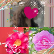 ヒメ日記 2024/12/29 13:40 投稿 ちはる(昭和41年生まれ) 熟年カップル名古屋～生電話からの営み～