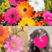 ヒメ日記 2024/12/30 07:12 投稿 ちはる(昭和41年生まれ) 熟年カップル名古屋～生電話からの営み～