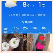 ヒメ日記 2025/01/08 23:57 投稿 ちはる(昭和41年生まれ) 熟年カップル名古屋～生電話からの営み～