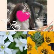 ヒメ日記 2025/01/14 09:47 投稿 ちはる(昭和41年生まれ) 熟年カップル名古屋～生電話からの営み～