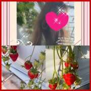 ヒメ日記 2025/01/19 22:15 投稿 ちはる(昭和41年生まれ) 熟年カップル名古屋～生電話からの営み～