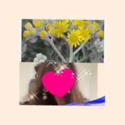 ヒメ日記 2025/01/27 08:51 投稿 ちはる(昭和41年生まれ) 熟年カップル名古屋～生電話からの営み～