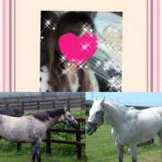 ヒメ日記 2025/02/15 17:37 投稿 ちはる(昭和41年生まれ) 熟年カップル名古屋～生電話からの営み～