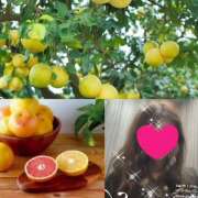 ヒメ日記 2025/02/26 08:58 投稿 ちはる(昭和41年生まれ) 熟年カップル名古屋～生電話からの営み～