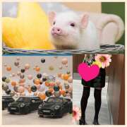 ヒメ日記 2025/03/02 11:07 投稿 ちはる(昭和41年生まれ) 熟年カップル名古屋～生電話からの営み～