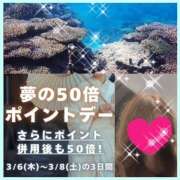 ヒメ日記 2025/03/05 08:03 投稿 ちはる(昭和41年生まれ) 熟年カップル名古屋～生電話からの営み～