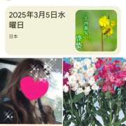 ヒメ日記 2025/03/05 18:01 投稿 ちはる(昭和41年生まれ) 熟年カップル名古屋～生電話からの営み～