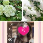 ヒメ日記 2025/03/06 12:49 投稿 ちはる(昭和41年生まれ) 熟年カップル名古屋～生電話からの営み～