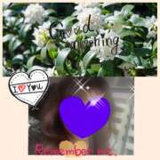 ヒメ日記 2025/03/16 11:10 投稿 ちはる(昭和41年生まれ) 熟年カップル名古屋～生電話からの営み～