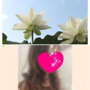 ヒメ日記 2025/03/17 13:56 投稿 ちはる(昭和41年生まれ) 熟年カップル名古屋～生電話からの営み～