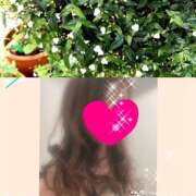 ヒメ日記 2025/03/27 09:18 投稿 ちはる(昭和41年生まれ) 熟年カップル名古屋～生電話からの営み～