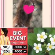 ヒメ日記 2025/03/29 11:30 投稿 ちはる(昭和41年生まれ) 熟年カップル名古屋～生電話からの営み～