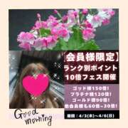 ヒメ日記 2025/04/02 10:51 投稿 ちはる(昭和41年生まれ) 熟年カップル名古屋～生電話からの営み～