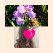 ヒメ日記 2025/04/05 10:26 投稿 ちはる(昭和41年生まれ) 熟年カップル名古屋～生電話からの営み～