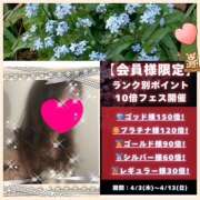 ヒメ日記 2025/04/06 10:22 投稿 ちはる(昭和41年生まれ) 熟年カップル名古屋～生電話からの営み～