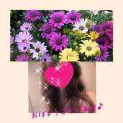 ヒメ日記 2025/04/17 09:50 投稿 ちはる(昭和41年生まれ) 熟年カップル名古屋～生電話からの営み～