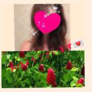 ヒメ日記 2025/04/20 11:43 投稿 ちはる(昭和41年生まれ) 熟年カップル名古屋～生電話からの営み～