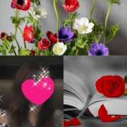 ヒメ日記 2025/04/23 06:52 投稿 ちはる(昭和41年生まれ) 熟年カップル名古屋～生電話からの営み～