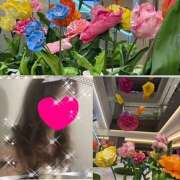 ヒメ日記 2025/04/26 00:22 投稿 ちはる(昭和41年生まれ) 熟年カップル名古屋～生電話からの営み～