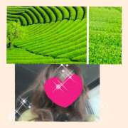 ヒメ日記 2025/05/01 12:51 投稿 ちはる(昭和41年生まれ) 熟年カップル名古屋～生電話からの営み～