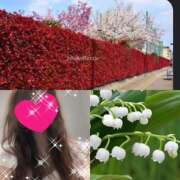 ヒメ日記 2025/05/01 23:59 投稿 ちはる(昭和41年生まれ) 熟年カップル名古屋～生電話からの営み～