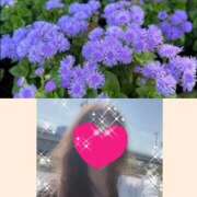 ヒメ日記 2025/05/03 23:56 投稿 ちはる(昭和41年生まれ) 熟年カップル名古屋～生電話からの営み～