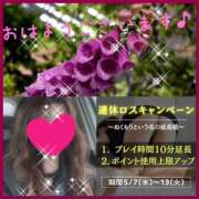 ヒメ日記 2025/05/12 10:15 投稿 ちはる(昭和41年生まれ) 熟年カップル名古屋～生電話からの営み～