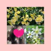 ヒメ日記 2025/05/13 12:52 投稿 ちはる(昭和41年生まれ) 熟年カップル名古屋～生電話からの営み～