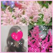 ヒメ日記 2025/05/14 12:36 投稿 ちはる(昭和41年生まれ) 熟年カップル名古屋～生電話からの営み～