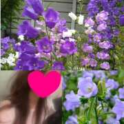 ヒメ日記 2025/05/17 09:54 投稿 ちはる(昭和41年生まれ) 熟年カップル名古屋～生電話からの営み～