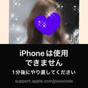 ヒメ日記 2025/05/17 10:41 投稿 ちはる(昭和41年生まれ) 熟年カップル名古屋～生電話からの営み～