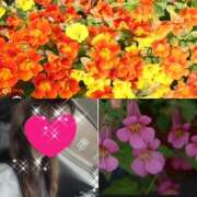 ヒメ日記 2025/06/02 10:07 投稿 ちはる(昭和41年生まれ) 熟年カップル名古屋～生電話からの営み～