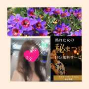 ヒメ日記 2025/06/06 09:45 投稿 ちはる(昭和41年生まれ) 熟年カップル名古屋～生電話からの営み～