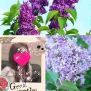 ヒメ日記 2025/06/11 10:36 投稿 ちはる(昭和41年生まれ) 熟年カップル名古屋～生電話からの営み～