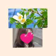 ヒメ日記 2025/06/17 00:25 投稿 ちはる(昭和41年生まれ) 熟年カップル名古屋～生電話からの営み～