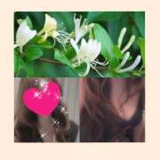 ヒメ日記 2025/06/17 12:19 投稿 ちはる(昭和41年生まれ) 熟年カップル名古屋～生電話からの営み～