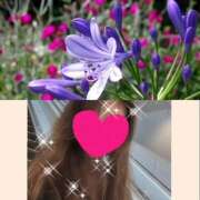 ヒメ日記 2025/06/20 16:56 投稿 ちはる(昭和41年生まれ) 熟年カップル名古屋～生電話からの営み～