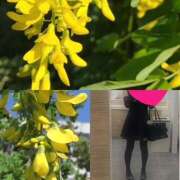 ヒメ日記 2025/06/22 11:35 投稿 ちはる(昭和41年生まれ) 熟年カップル名古屋～生電話からの営み～