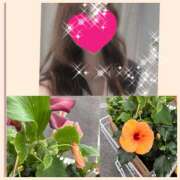 ヒメ日記 2025/06/22 21:47 投稿 ちはる(昭和41年生まれ) 熟年カップル名古屋～生電話からの営み～