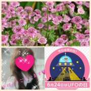 ヒメ日記 2025/06/24 11:22 投稿 ちはる(昭和41年生まれ) 熟年カップル名古屋～生電話からの営み～