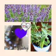 ヒメ日記 2025/06/30 09:05 投稿 ちはる(昭和41年生まれ) 熟年カップル名古屋～生電話からの営み～