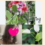 ヒメ日記 2025/07/01 10:34 投稿 ちはる(昭和41年生まれ) 熟年カップル名古屋～生電話からの営み～