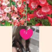 ヒメ日記 2025/07/05 10:08 投稿 ちはる(昭和41年生まれ) 熟年カップル名古屋～生電話からの営み～