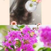 ヒメ日記 2025/07/18 14:29 投稿 ちはる(昭和41年生まれ) 熟年カップル名古屋～生電話からの営み～