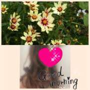 ヒメ日記 2025/07/19 11:12 投稿 ちはる(昭和41年生まれ) 熟年カップル名古屋～生電話からの営み～