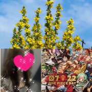 ヒメ日記 2025/07/22 15:23 投稿 ちはる(昭和41年生まれ) 熟年カップル名古屋～生電話からの営み～