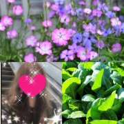 ヒメ日記 2025/07/28 10:26 投稿 ちはる(昭和41年生まれ) 熟年カップル名古屋～生電話からの営み～