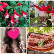 ヒメ日記 2025/07/31 09:12 投稿 ちはる(昭和41年生まれ) 熟年カップル名古屋～生電話からの営み～